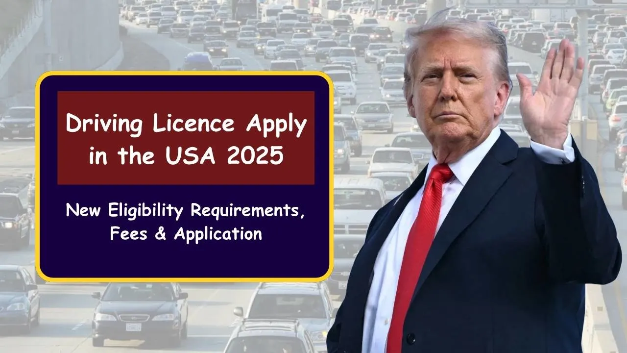 Driving Licence Apply in the USA 2025